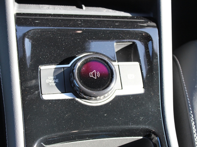 Tiguan R-Line Black Style 2.0 TDI DSG 4M