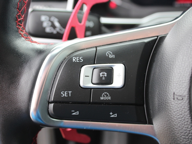 Polo GTI 2.0 TSI DSG**PANO,ACC**