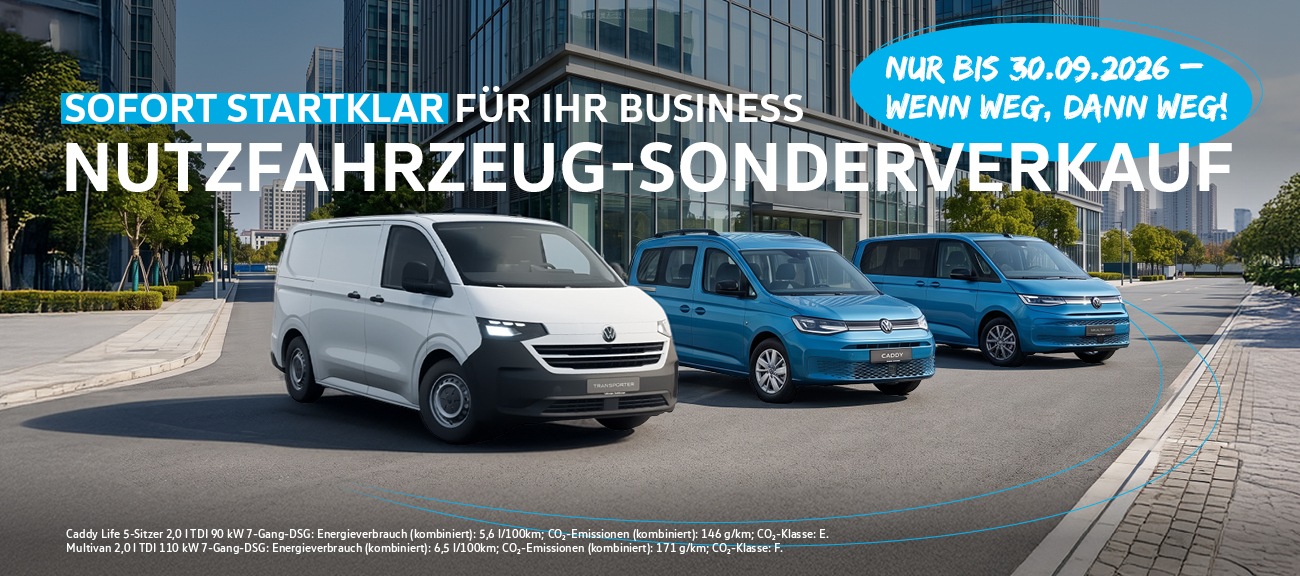 HD Online VW NFZ Lagerverkauf