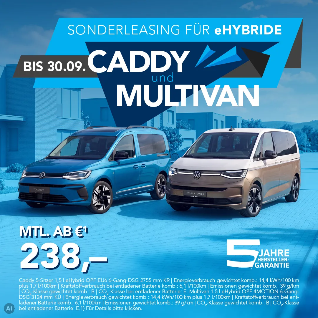 Caddy & Multivan
