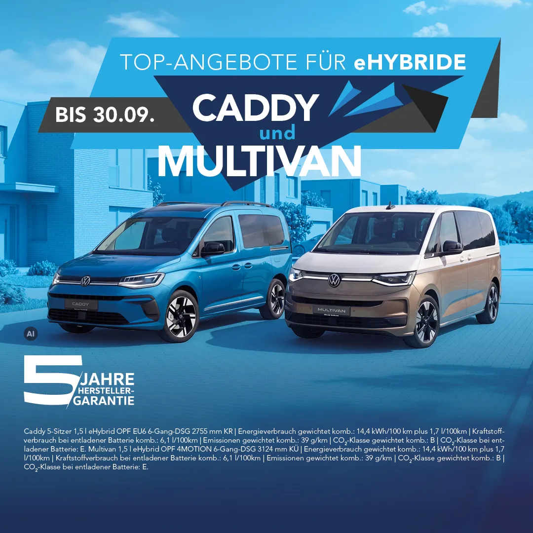 Caddy & Multivan