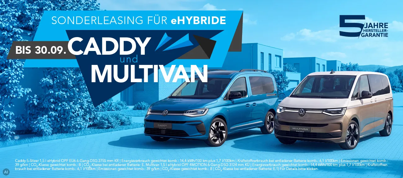 Caddy & Multivan