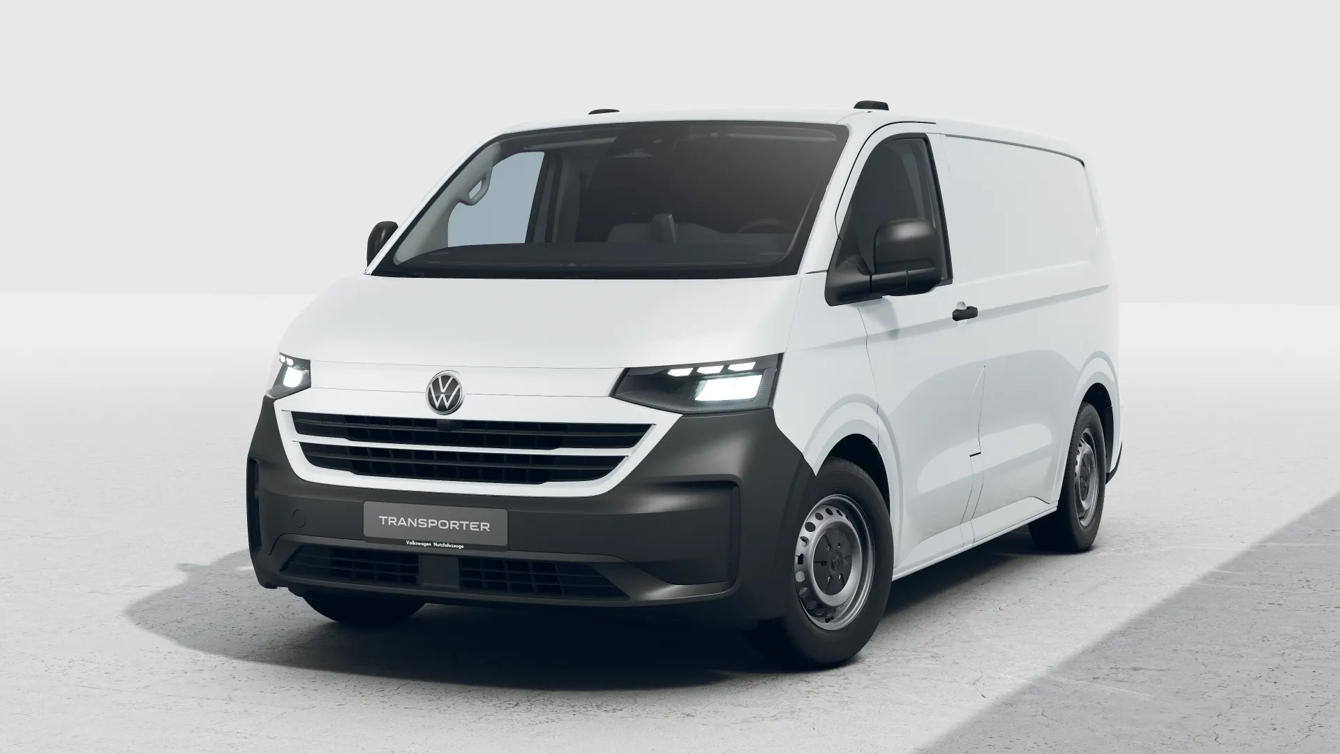 Transporter Kastenwagen